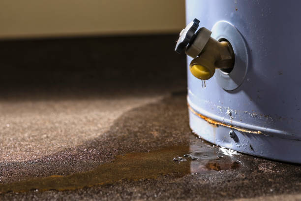 Best Water damage restoration near me  in Oak Grove, KY