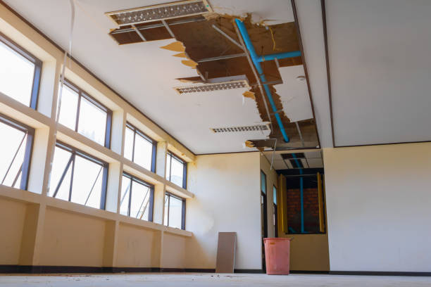 Best Fire Damage Restoration  in Oak Grove, KY