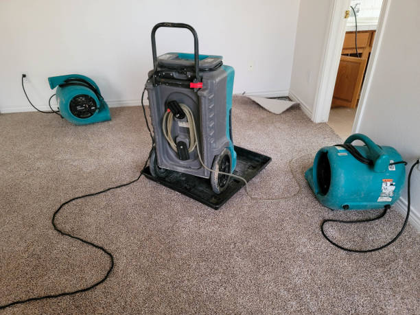Best Basement water damage restoration  in Oak Grove, KY