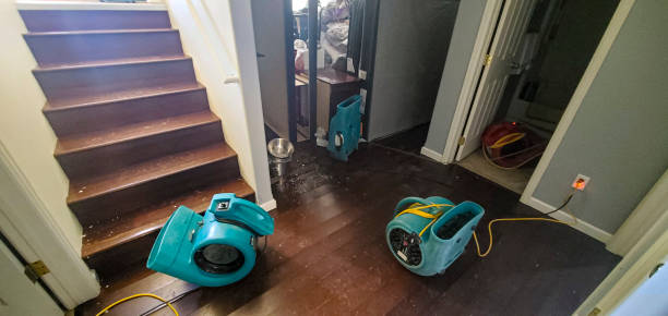 Best Flood restoration services  in Oak Grove, KY