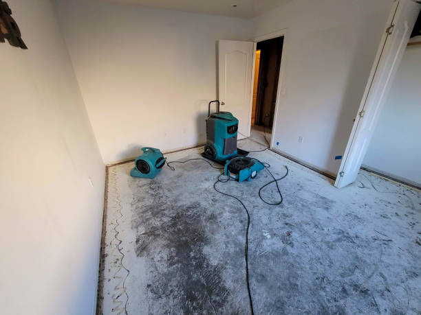 Best Professional water damage repair  in Oak Grove, KY