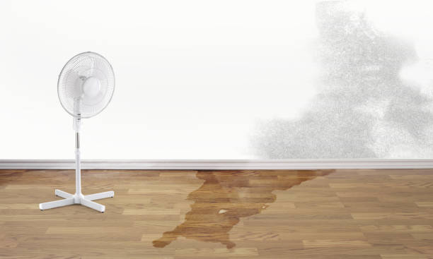 Best 24/7 water damage repair  in Oak Grove, KY