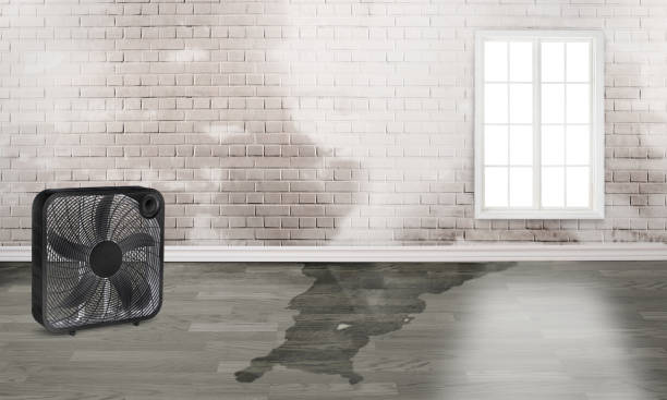 Best Residential water damage restoration  in Oak Grove, KY
