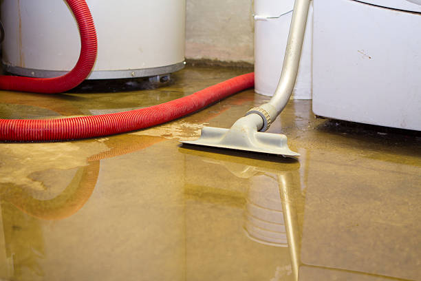  Oak Grove, KY Water damage restoration Pros