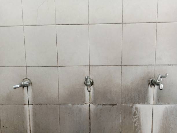 Best Sewage cleanup and water damage restoration  in Oak Grove, KY