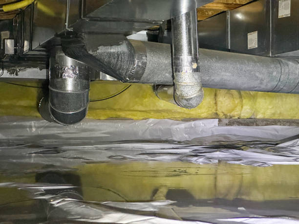 Best Water damage cleanup near me  in Oak Grove, KY