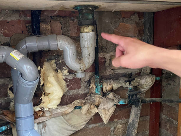 Best Water damage restoration near me  in Oak Grove, KY