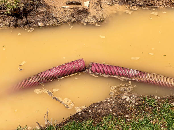 Best Commercial water damage restoration  in Oak Grove, KY