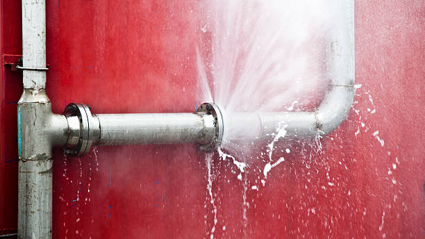 Best Water damage mitigation services  in Oak Grove, KY