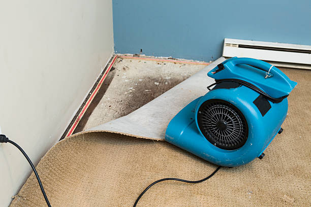 Water damage restoration process in KY